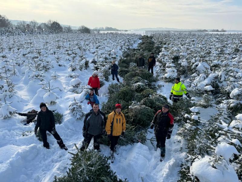 News - Ein Weihnachtsbaum aus Koblov für jeden beschäftigten